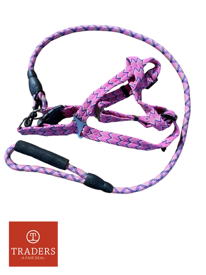 Dog Harness & Lead Set