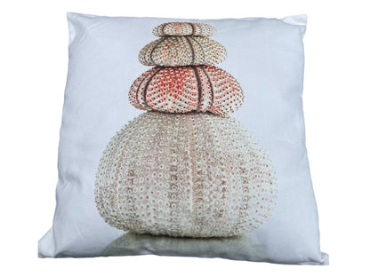 Saltwater Designer Cushion Collection